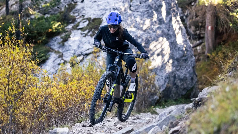 Markenidentität bis ins Detail: Das HAIBIKE-Steuerkopfemblem verbindet Designanspruch, Wiedererkennung und Langlebigkeit.