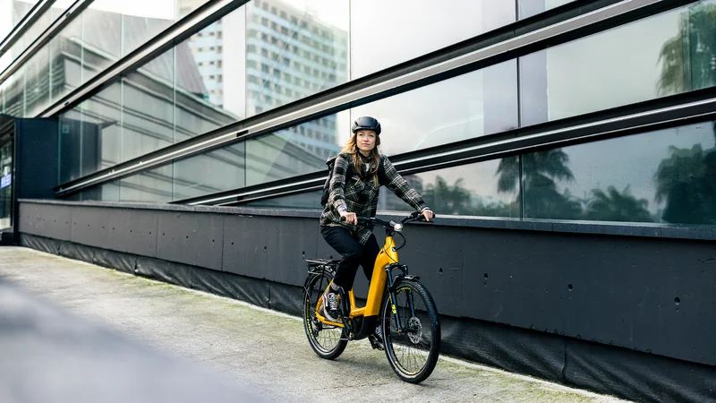 Das RATHGEBER Markenemblem auf dem Trekking eBike für eine starke Markenwirkung.