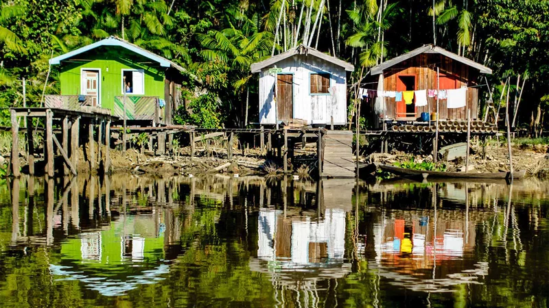 ClimatePartner Projekt Waldschutz in Portel, Brasilien