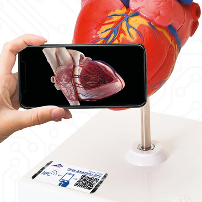 NFC Etikett 3B Scientific: AR Anwendung
