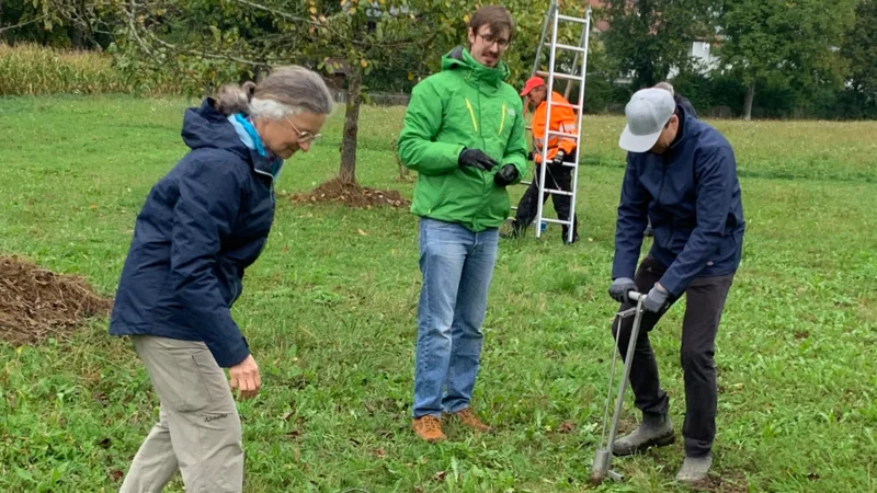 Energetic commitment despite cool temperatures
