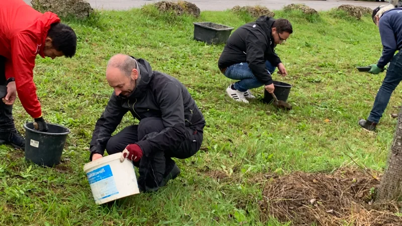 Preparing the future sea of flowers